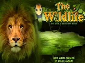 The Wildlife