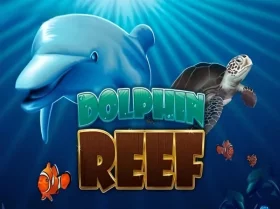 Dolphin Reef