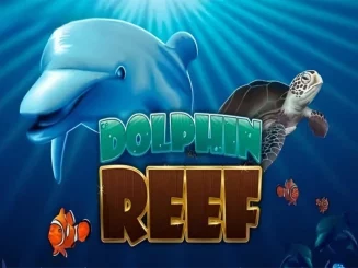 Dolphin Reef