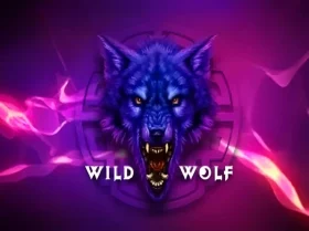 Wild Wolf