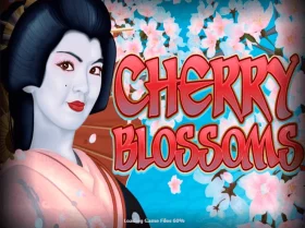 Cherry Blossoms