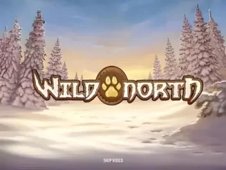 Wild North