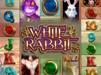 White Rabbit