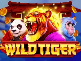 Wild Tiger