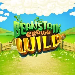 Beanstalk Grows Wild