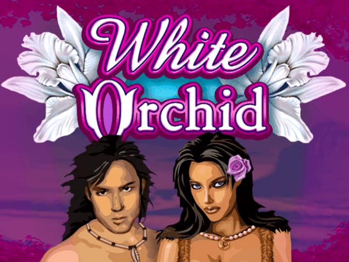 White Orchid sloty