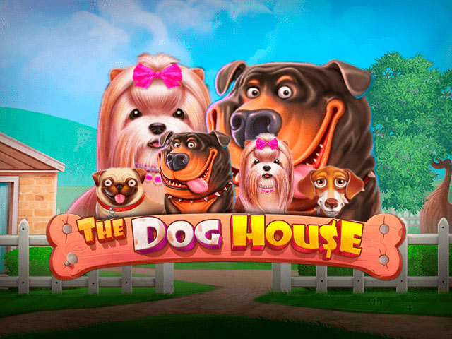The Dog House automaty do gry