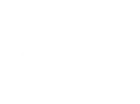  Dolfwin Casino