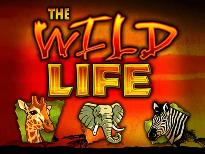 The Wild Life online za darmo