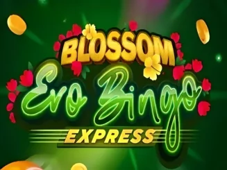 Blossom Evobingo Express