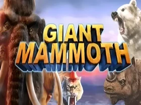 Xon