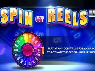 Spin or Reels
