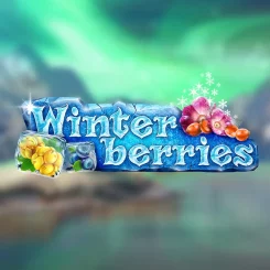 Winter berries