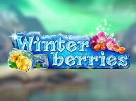 Winter berries
