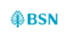 BSN Bank