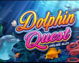 Dolphin Quest