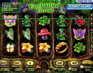 Enchanted Forest