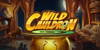 Wild Cauldron