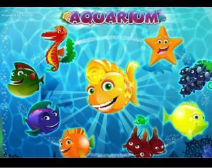 Aquarium