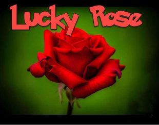 Lucky Rose