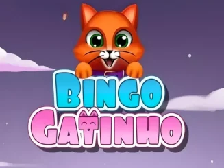 Bingo Gatinho
