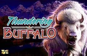 Thundering Buffalo