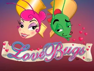 Love Bugs