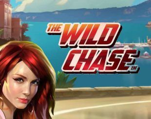 Wild Chase