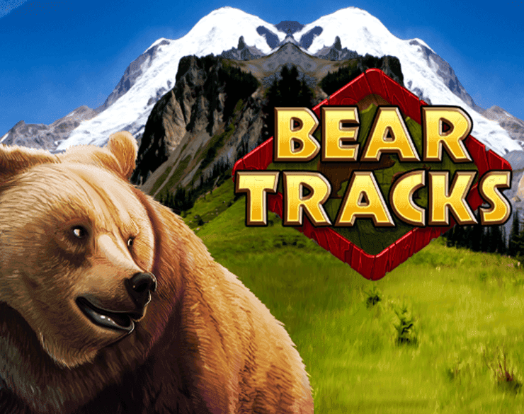 Bear Tracks