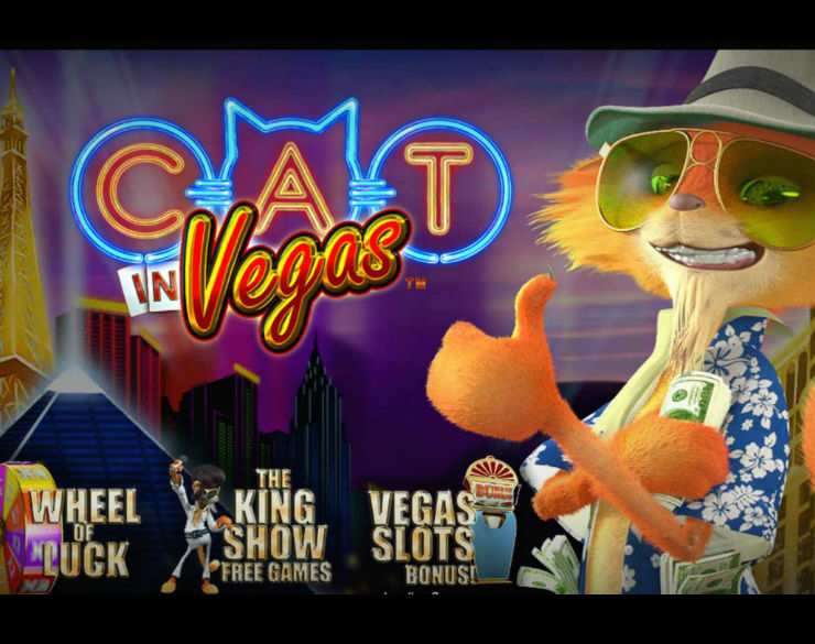 Cat in Vegas