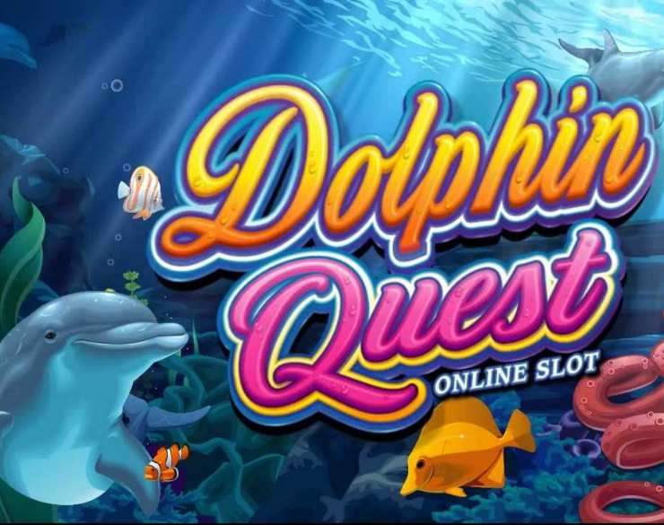 Dolphin Quest