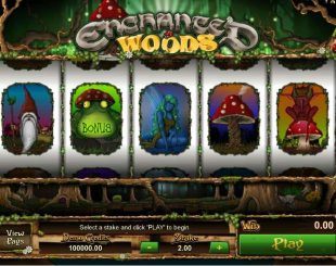 Enchanted Woods