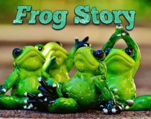 Frog Story