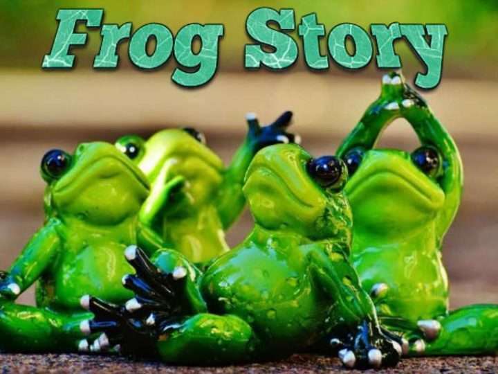 Frog Story