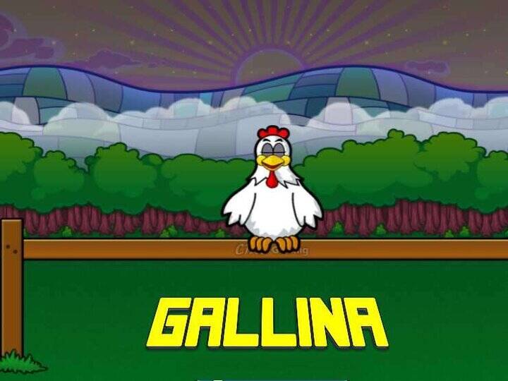 Gallina