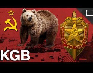 KGB Bears