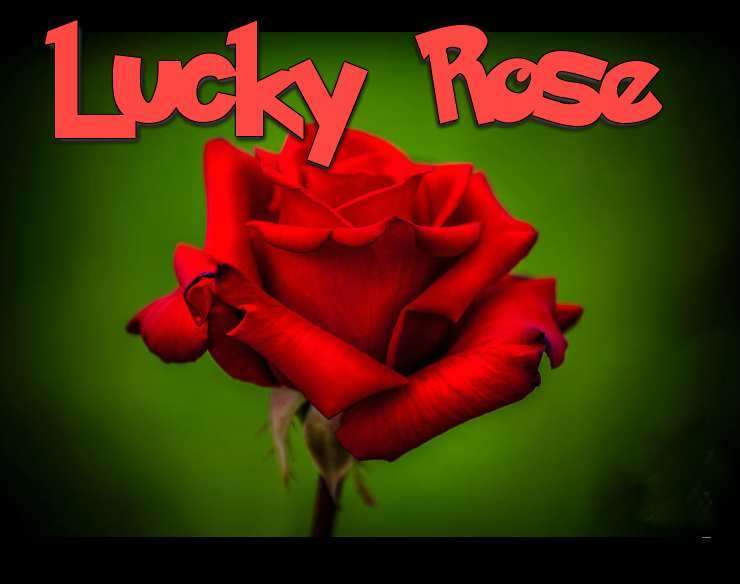 Lucky Rose