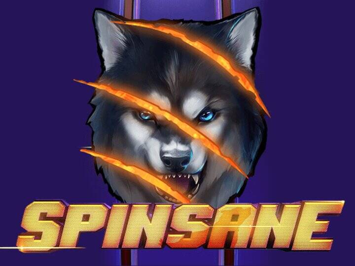 Spinsane