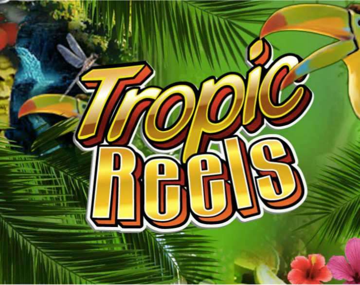 Tropic Reels