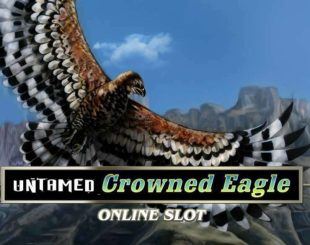 Untamed Crowned Eagle
