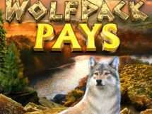Wolfpack Pays