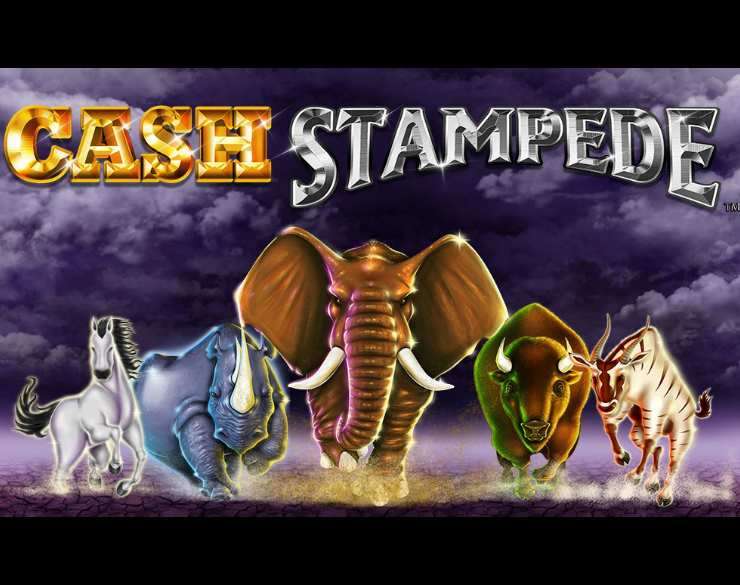 Cash Stampede