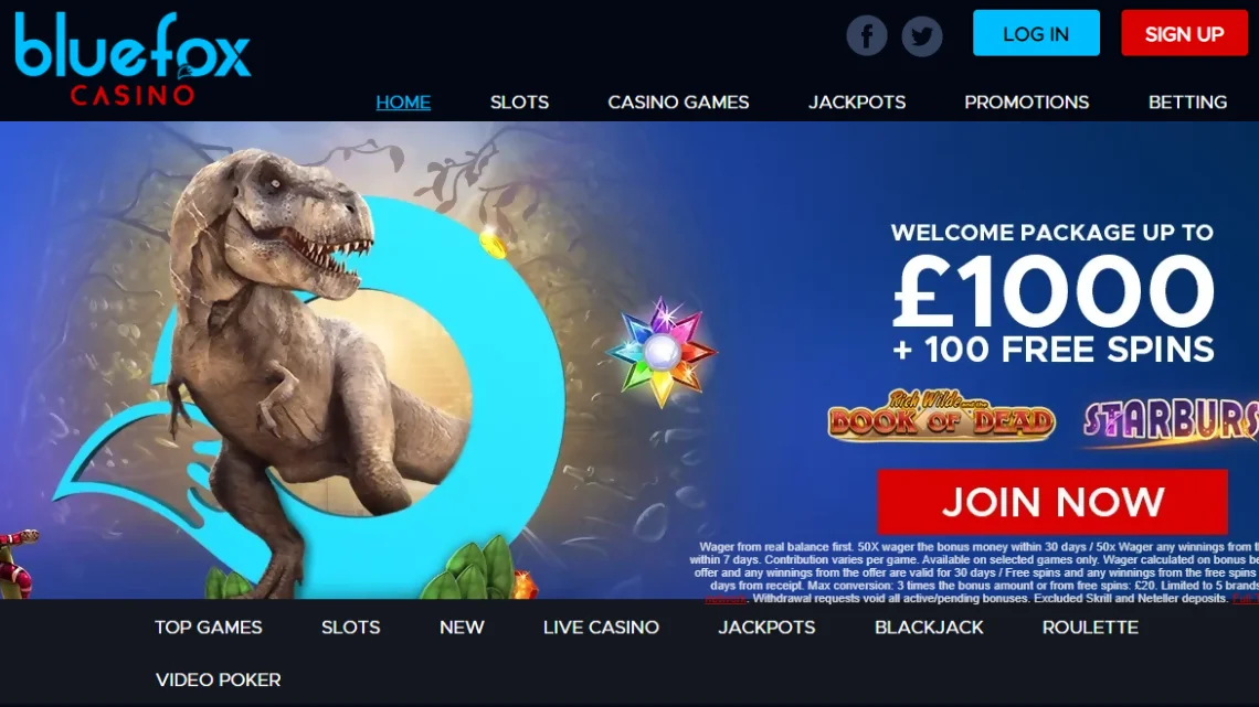 BlueFox Casino