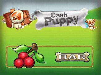 Cash Puppy