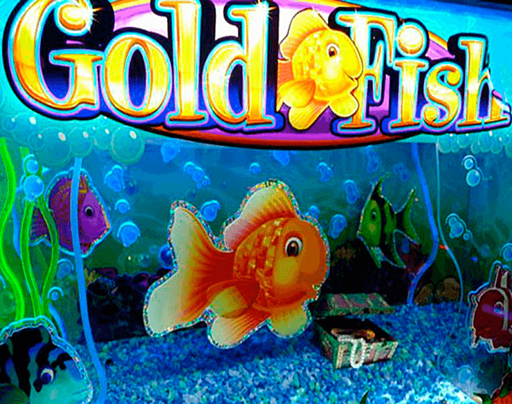 Gold Fish