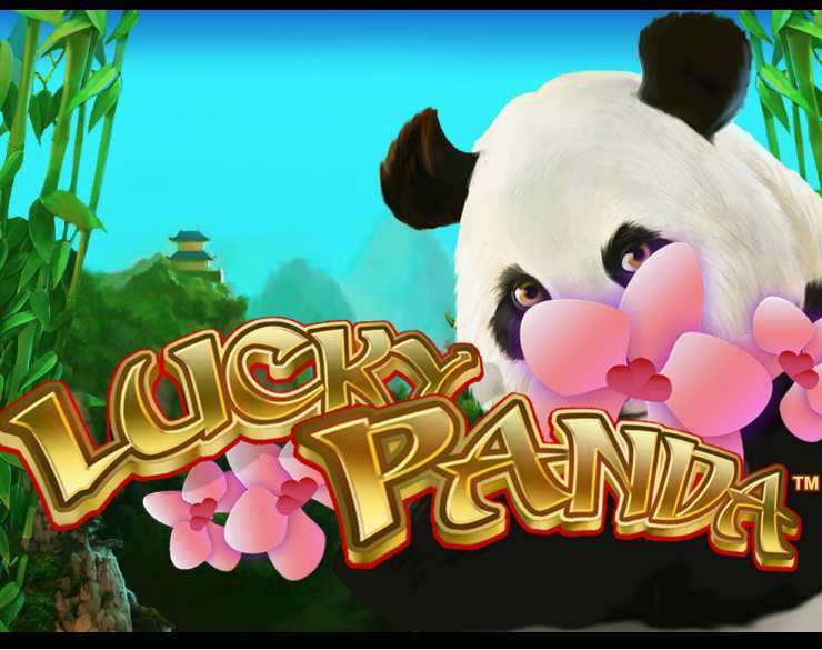 Lucky Panda™ Slot Machine Game to Play Free