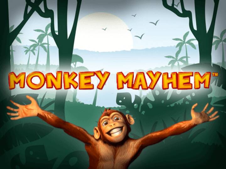 Monkey Mayhem Slots - Play Free Demo Game