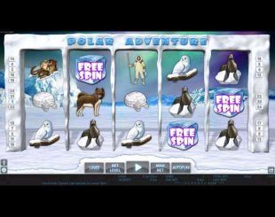 Polar Adventure