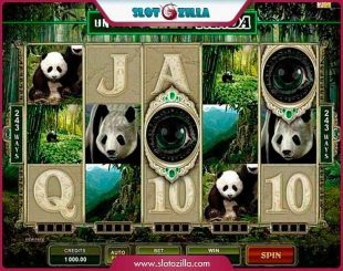 Untamed Giant Panda