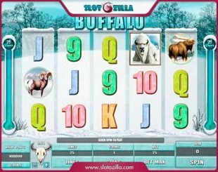White Buffalo